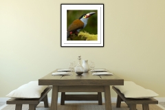 toucan-at-table